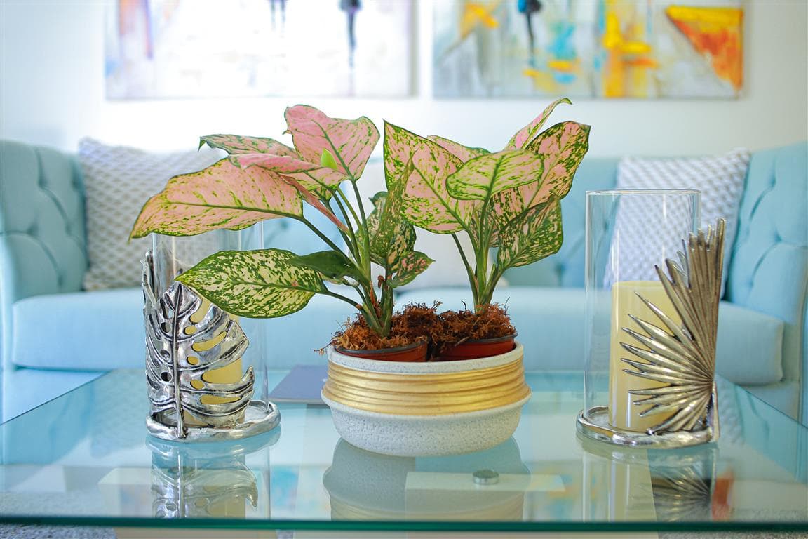 Condos for sale in Cabarete-Dominican Republic - Miniatura 15