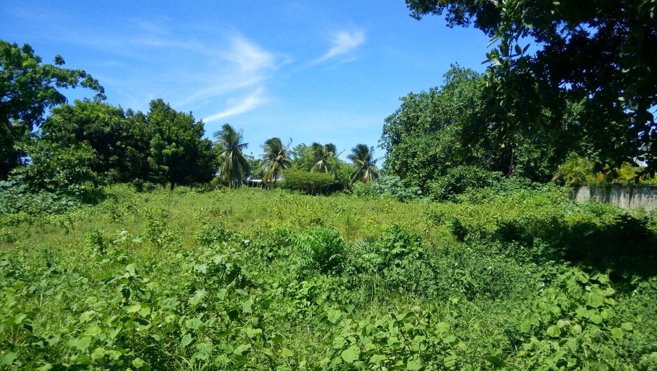 CB-001 Residential lot for sale In Cabarete Dominican Republic - Miniatura 3
