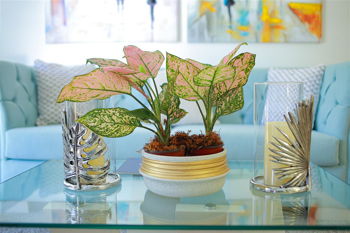 Condos for sale in Cabarete-Dominican Republic - Miniatura 15